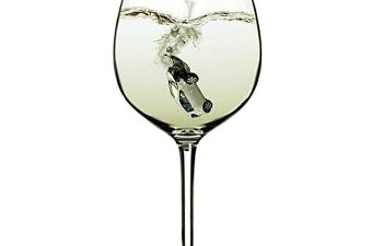 drink-2106757_1920